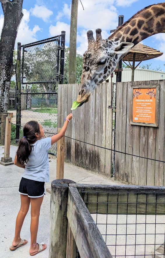 My Friends at Sanford Zoo