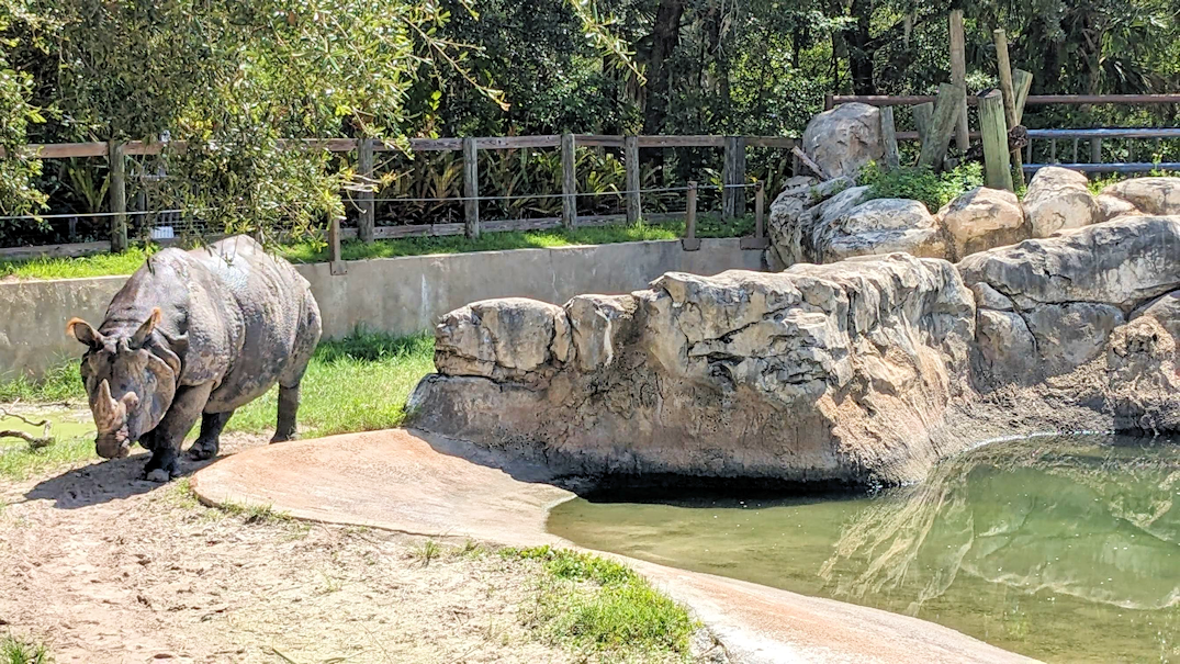 My Friends at Sanford Zoo